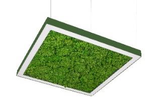 DA-HOGWEED G LED - Image 3